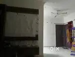 Needed roomate