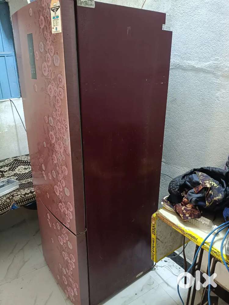 10000  double door fridge no problem