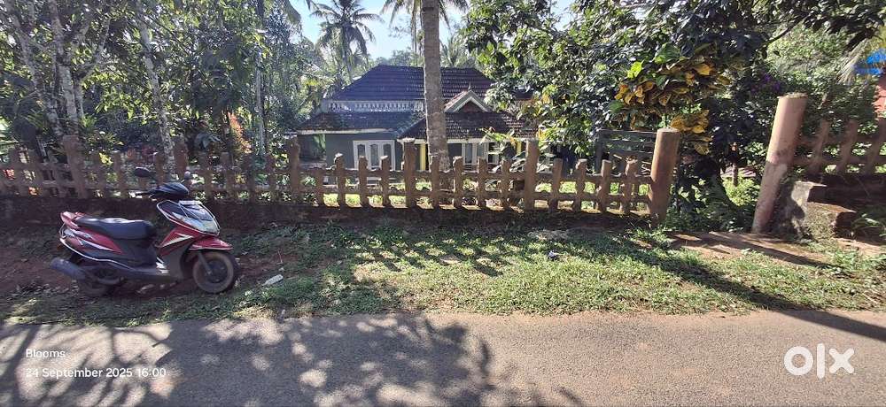 House or House plot for Sale – Wayanad
