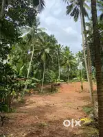 Plot For Sale In Kalluvathukal