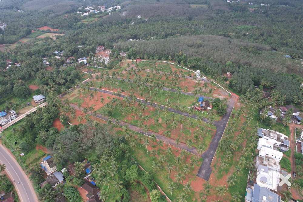 9 Cent House plot for sale in Viyyakurissi,Palakkad