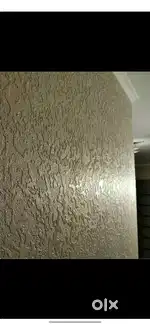 Rent se dena hi family & Bachelors only garl