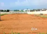 THENI  PALAM SCHOOL NEAR 7CENT LAND SALE