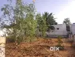 Farm Land Sale