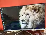 32 inch Zebronics Curved Full HD LED Monitor