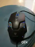 Mouse of evofox