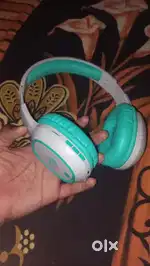 Headset, headphones Zebronice