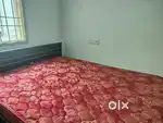 Peps Matress and Pepperfry queen size Cot