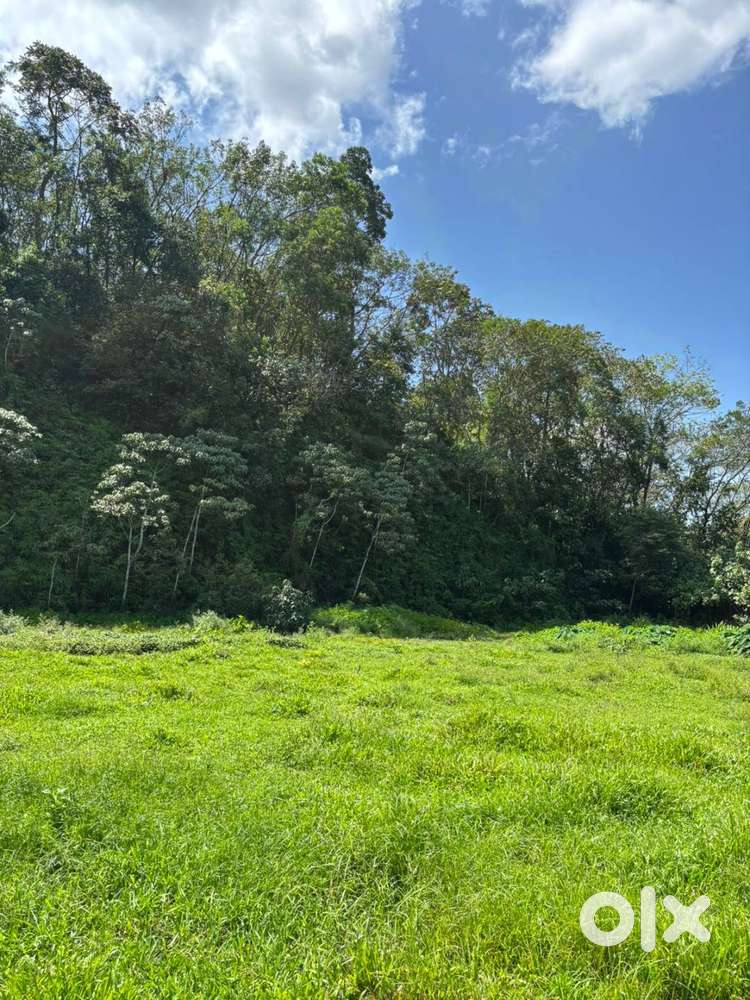 land for sale in thellakom