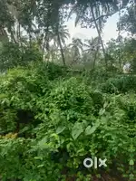 2500m2 Plot Touching Old Highway, Nuvem, South Goa.