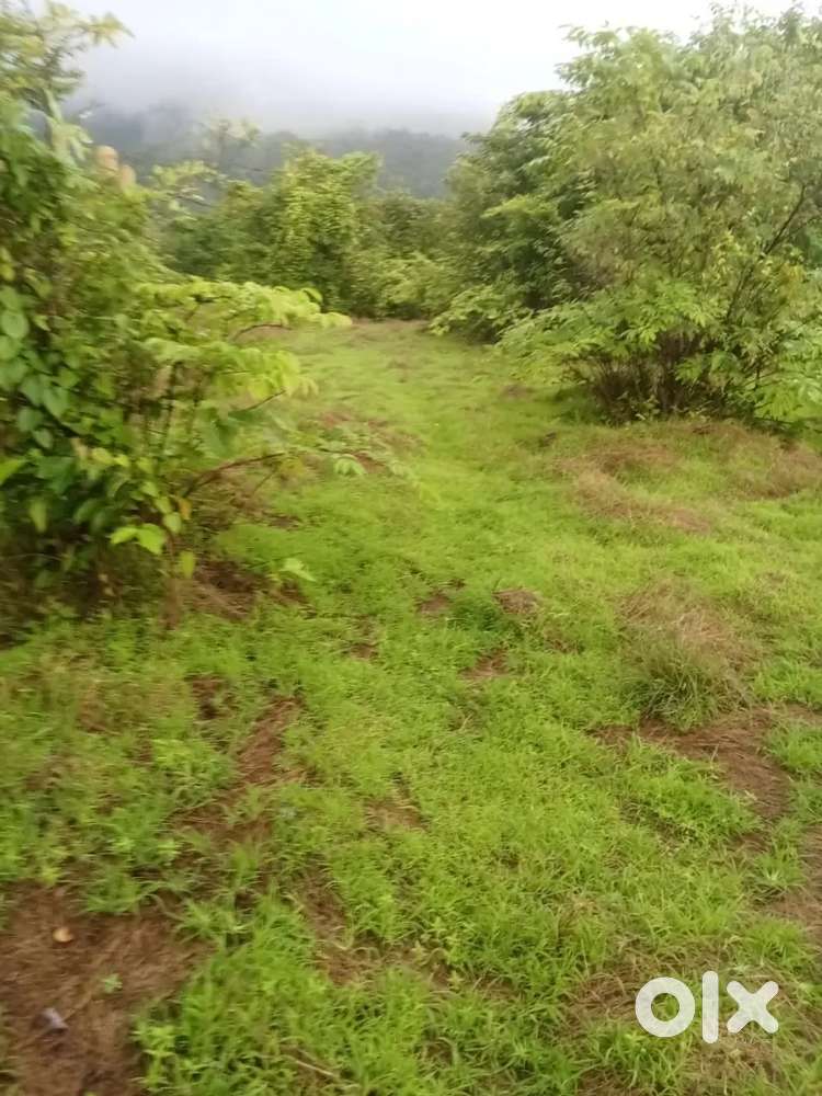 Nivli yete 12 gunte jamin vikne aahe Highway road pasun 5 min.