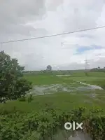 Belgharia kalyani express way 15 begha land for sale
