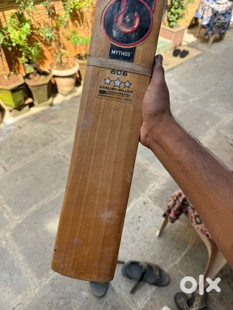 Gm English Willow Bat