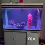 Sobo fish aquarium 4 feet+ approx