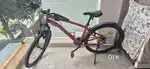 Rickrider ST100