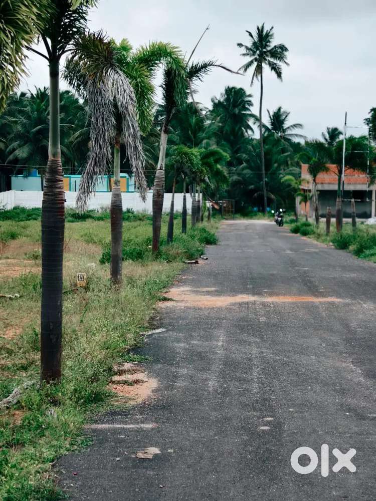 Low budget Dtcp Plot sale in Othakaalmandabam Arisipalayam road