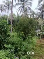10cent 20cent സ്ഥലം വിൽപ്പനക്ക്