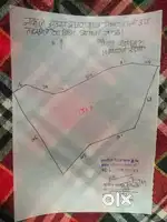 Orchard for sale