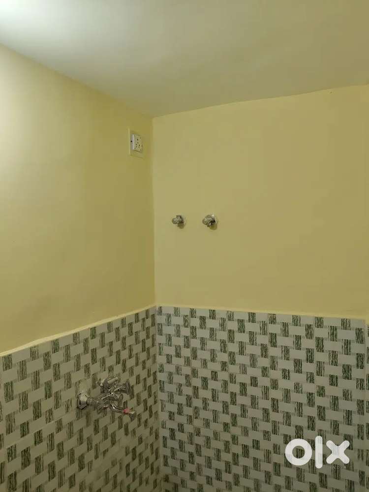 Working girl roommate need