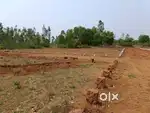 Plot For Sale Near Baniatangi Gandhi College
