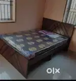 New mountain furniture new Queen size cot at affordable prices
