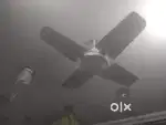 Celling fan