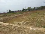 PLOT IN IKDIL