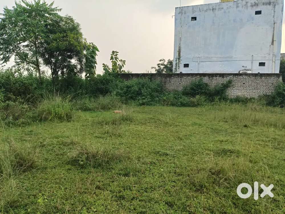 5 dismil land for sale in dadar korba rejestery jamin hai