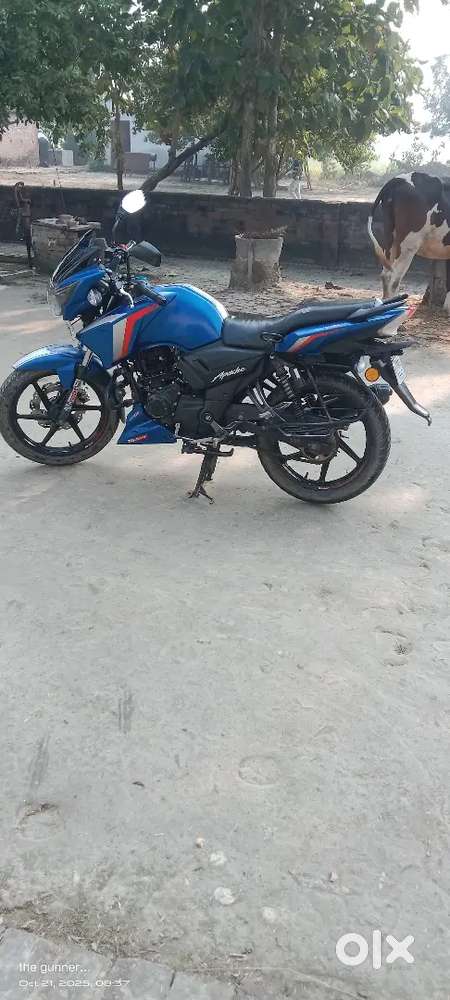 Ekdam showroom condition h