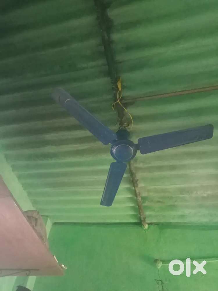 Orient Ceiling fan