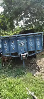 Trolly (13.25*7 ft. )