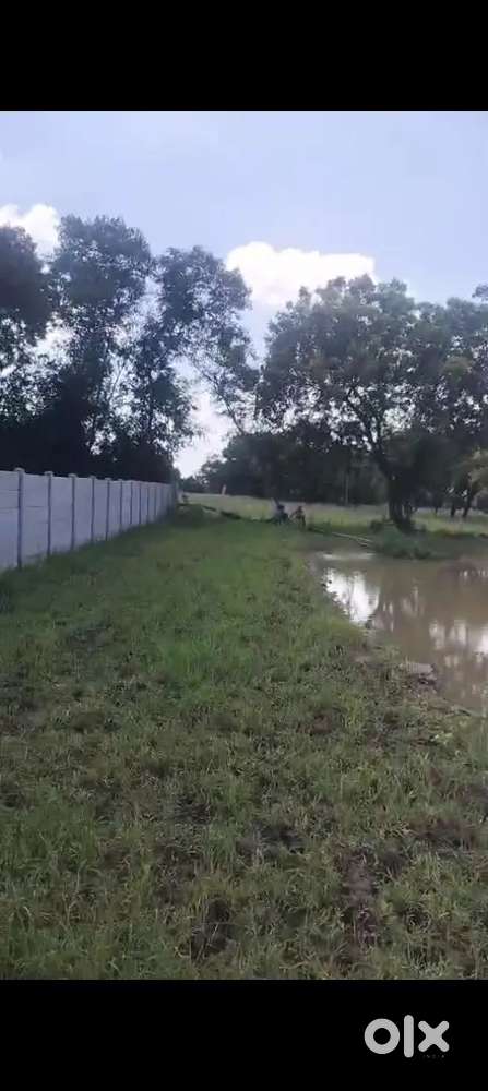 All size plot available near nh 44