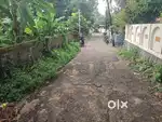 5cent house plot for sale in Samkranthi Kottayam