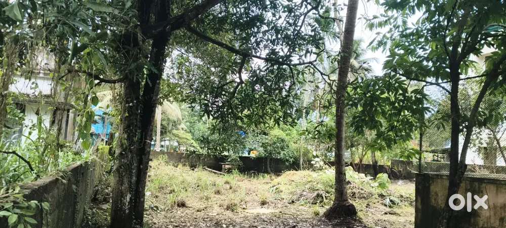 Pukkattupady near Cochin International school 68 cent land for sale
