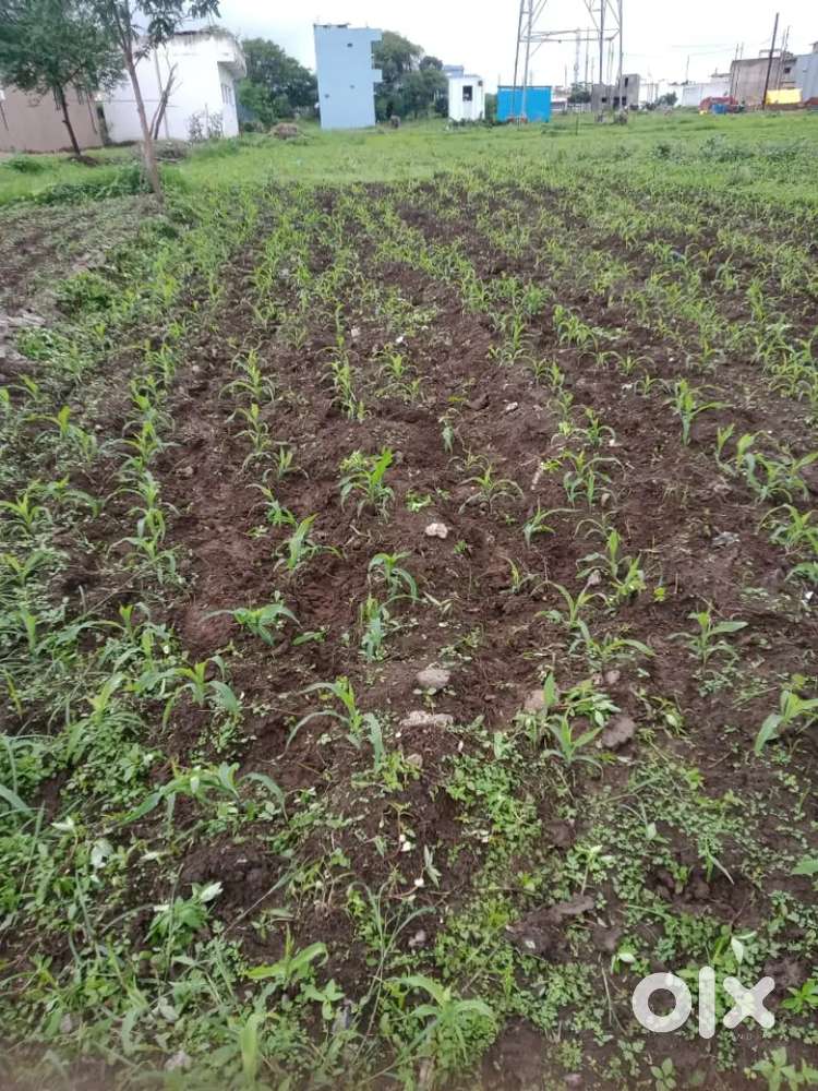 Plot for sale in multai kamath