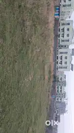 CNT free Registered and non registered plot.
