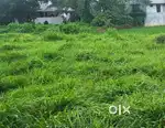 Square plot ,residential area 200 mt near bus stop panchayat office