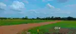 Amaravathi Homes - The Future