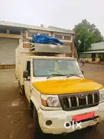 Licence&batch  compulsory   want driver