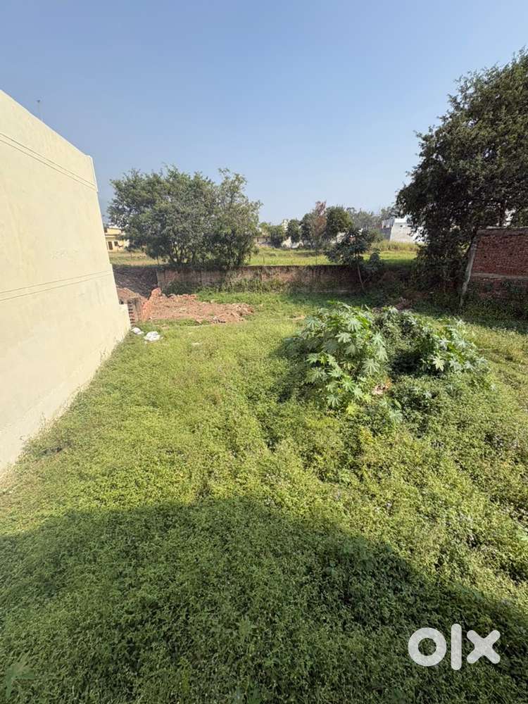 5 Biswa plot in Khurana colony