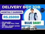 BlueDart company