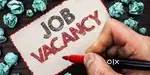 Opening for freshers male and female can apply.
