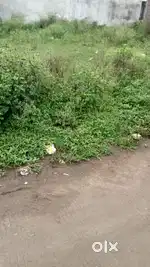 An plot on Ujjain road near by sisukunj school