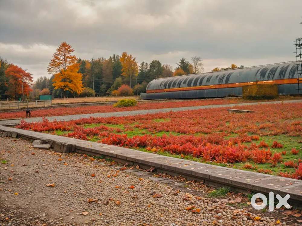 Ready to Registration and Ready to Construction