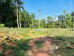 Budget plot direct owner maneed 180000