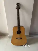 Ashton Guitar