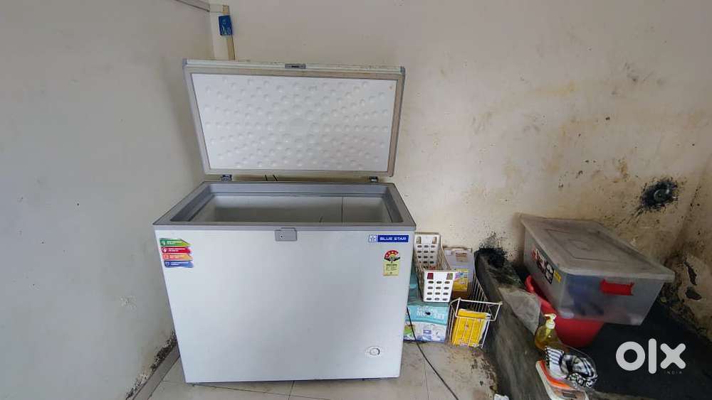Bluestar Deep Freezer