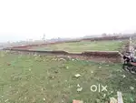 Land for sale in city