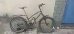 cycle is nice