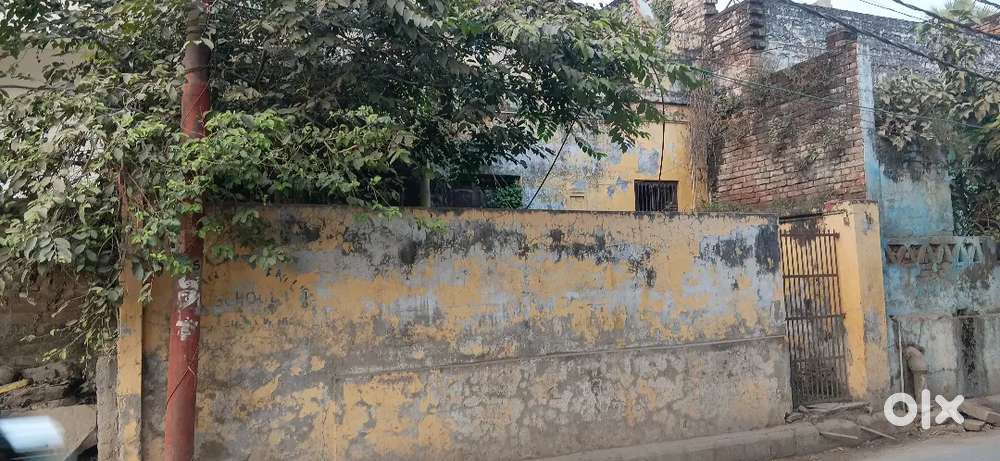 Makan Or Flat commercial